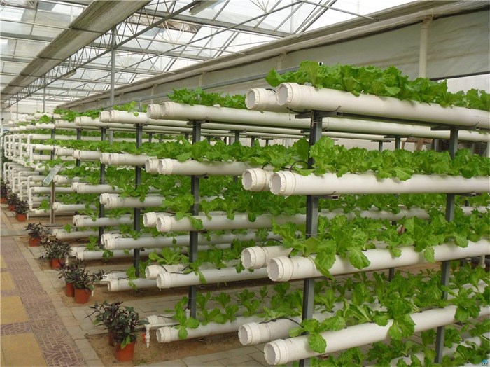 白城市鱼菜共生种植槽 - 一站式服务