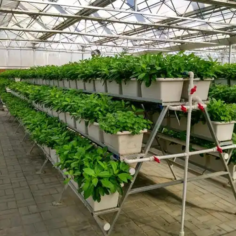 白城市植物工厂鱼菜共生 - 排名