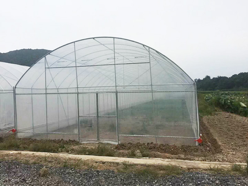 白城市薄膜大棚水培 - 推荐